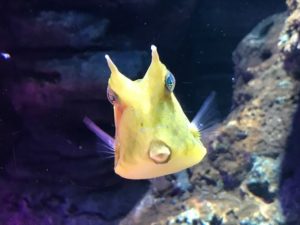 上海の水族館、浦西の长风海洋世界へ行ってみた！営業時間や料金など