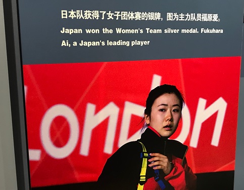 卓球博物館|福原愛ちゃん