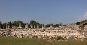 イグアナを見にエルレイ遺跡へ！カンクンメキシコ観光スポット