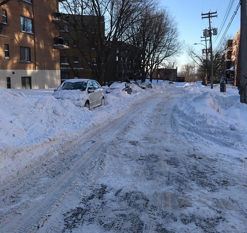 雪に埋もれる車